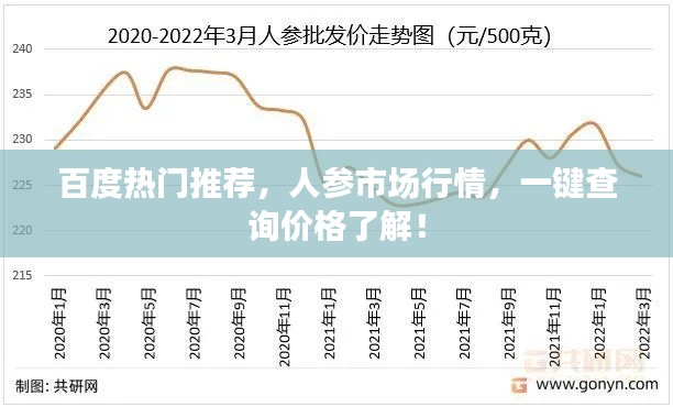 百度热门推荐，人参市场行情，一键查询价格了解！