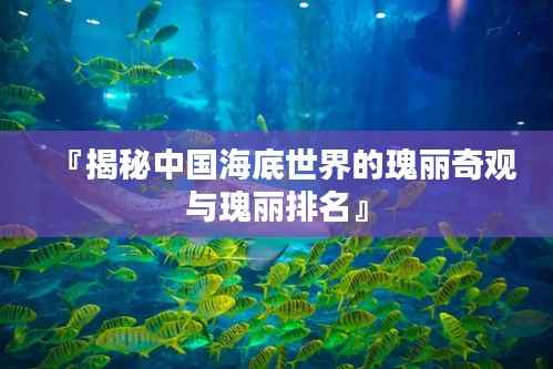 『揭秘中国海底世界的瑰丽奇观与瑰丽排名』