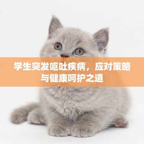 学生突发呕吐疾病,应对策略与健康呵护之道