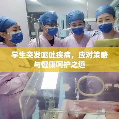 学生突发呕吐疾病，应对策略与健康呵护之道