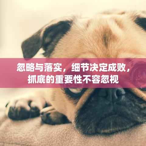 忽略与落实,细节决定成败,抓底的重要性不容忽视