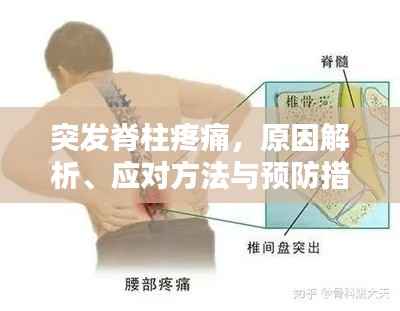 突发脊柱疼痛，原因解析、应对方法与预防措施
