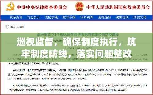 巡视监督，确保制度执行，筑牢制度防线，落实问题整改