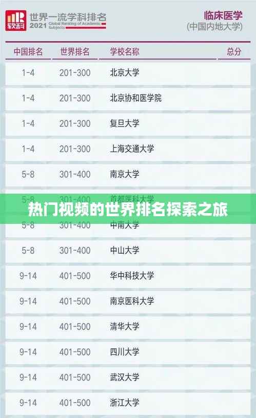 热门视频的世界排名探索之旅