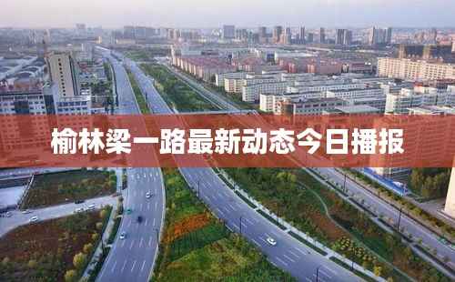 鸢飞鱼跃 第4页