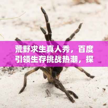 荒野求生真人秀,百度引领生存挑战热潮,探索未知之旅!