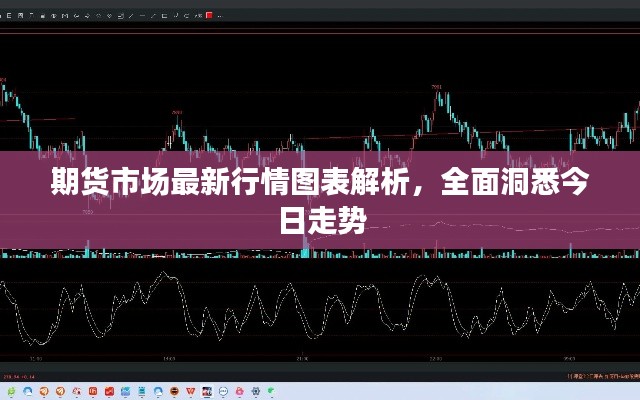 期货市场最新行情图表解析，全面洞悉今日走势