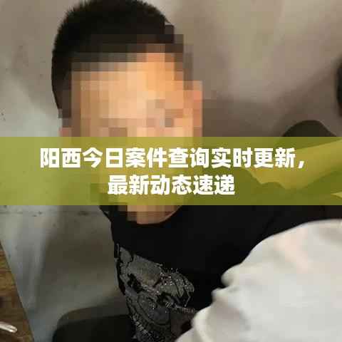 阳西今日案件查询实时更新，最新动态速递