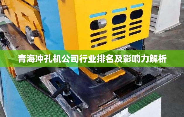 青海冲孔机公司行业排名及影响力解析