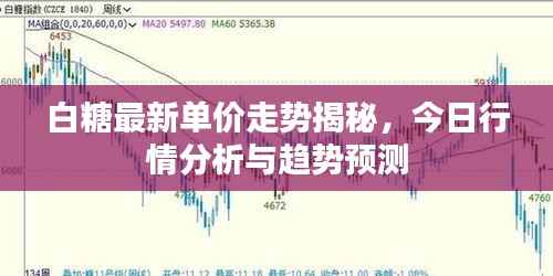 白糖最新单价走势揭秘,今日行情分析与趋势预测