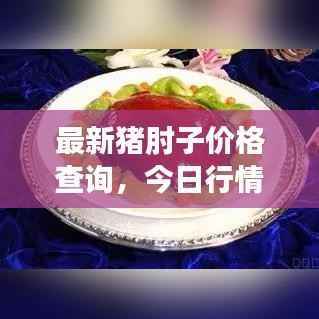 最新猪肘子价格查询，今日行情一目了然！