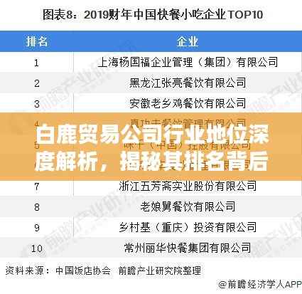 白鹿贸易公司行业地位深度解析，揭秘其排名背后的秘密！