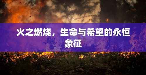 火之燃烧,生命与希望的永恒象征