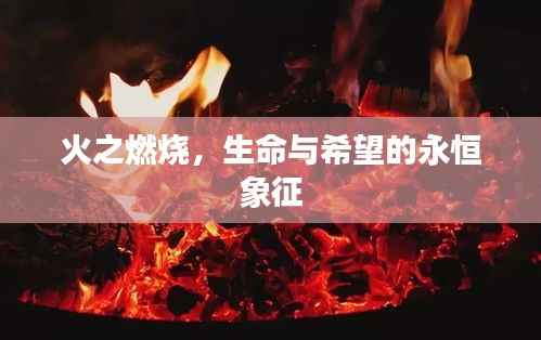 火之燃烧,生命与希望的永恒象征