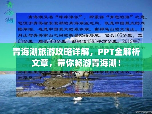 青海湖旅游攻略详解，PPT全解析文章，带你畅游青海湖！