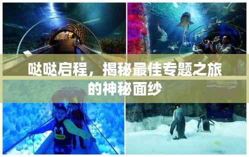 哒哒启程,揭秘最佳专题之旅的神秘面纱