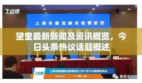 望奎最新新闻及资讯概览，今日头条热议话题概述