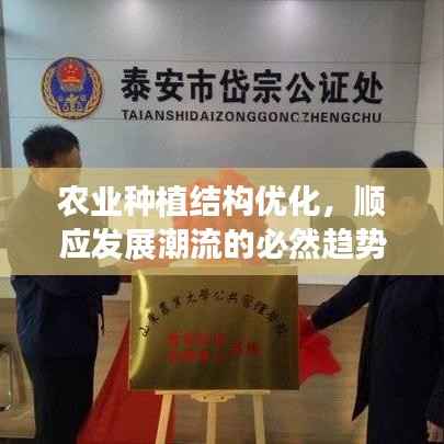 农业种植结构优化，顺应发展潮流的必然趋势