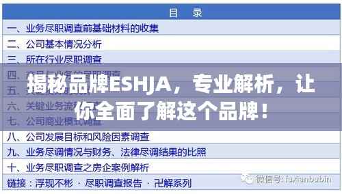 揭秘品牌ESHJA，专业解析，让你全面了解这个品牌！