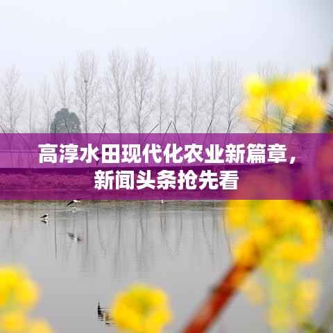 高淳水田现代化农业新篇章，新闻头条抢先看