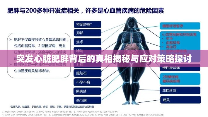 突发心脏肥胖背后的真相揭秘与应对策略探讨