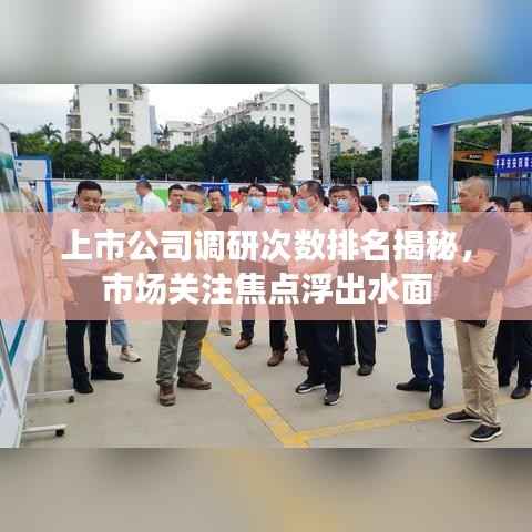 上市公司调研次数排名揭秘,市场关注焦点浮出水面