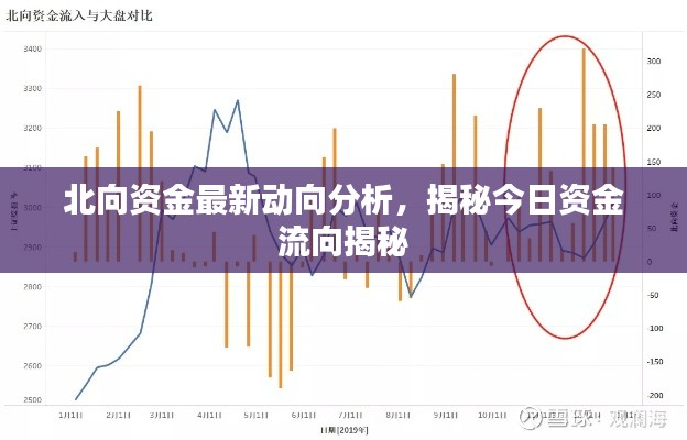 北向资金最新动向分析，揭秘今日资金流向揭秘