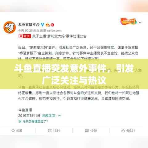 斗鱼直播突发意外事件,引发广泛关注与热议