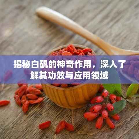 揭秘白矾的神奇作用，深入了解其功效与应用领域