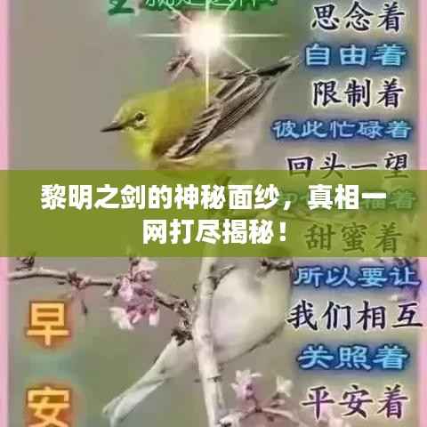 黎明之剑的神秘面纱，真相一网打尽揭秘！