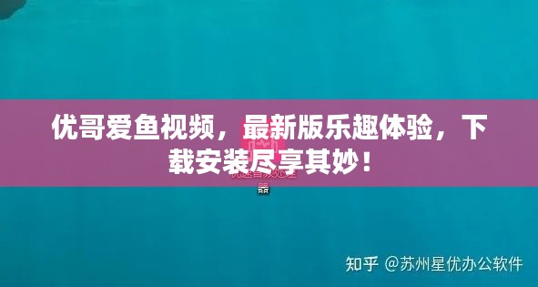 优哥爱鱼视频，最新版乐趣体验，下载安装尽享其妙！