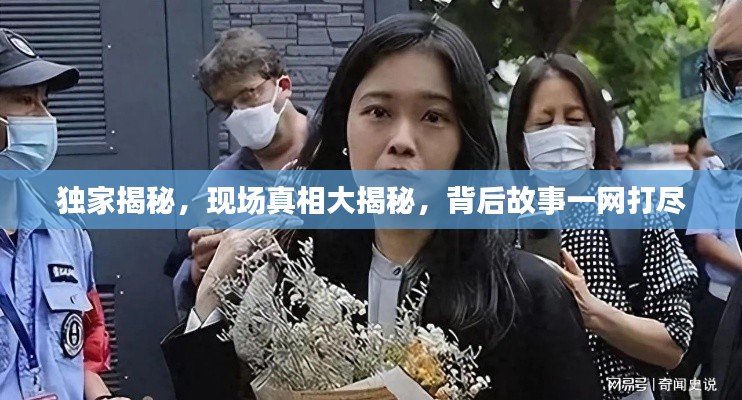 独家揭秘，现场真相大揭秘，背后故事一网打尽