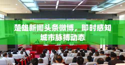 楚雄新闻头条微博，即时感知城市脉搏动态