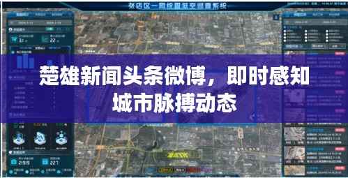 楚雄新闻头条微博,即时感知城市脉搏动态