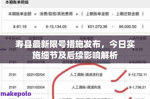 寿县最新限号措施发布,今日实施细节及后续影响解析