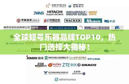 全球短号乐器品牌TOP10，热门选择大揭秘！