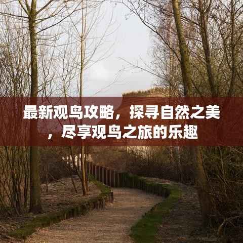 最新观鸟攻略，探寻自然之美，尽享观鸟之旅的乐趣