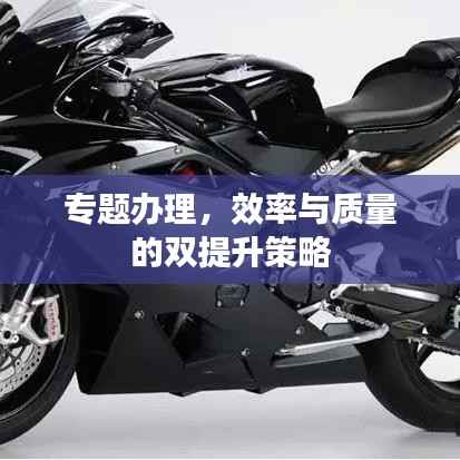 专题办理,效率与质量的双提升策略