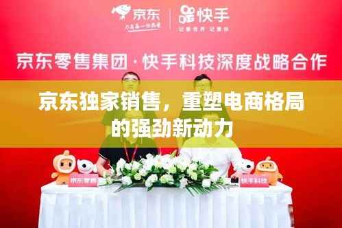 京东独家销售，重塑电商格局的强劲新动力