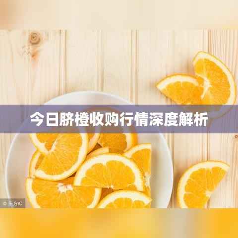 没张倒置 第4页