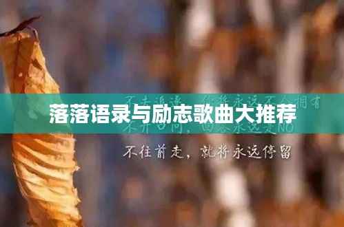 落落语录与励志歌曲大推荐