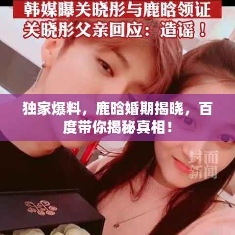 独家爆料，鹿晗婚期揭晓，百度带你揭秘真相！