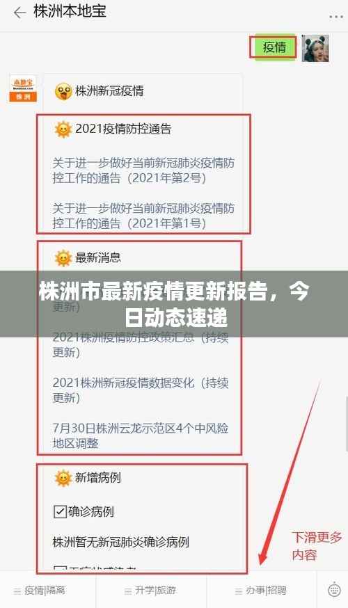株洲市最新疫情更新报告,今日动态速递