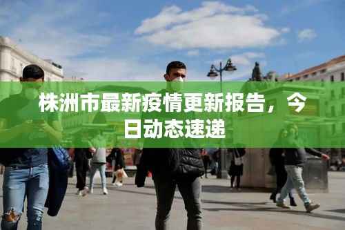 株洲市最新疫情更新报告,今日动态速递