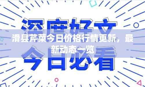 滑县芹菜今日价格行情更新,最新动态一览