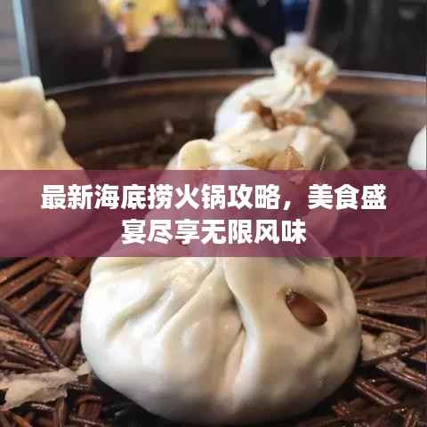 最新海底捞火锅攻略，美食盛宴尽享无限风味