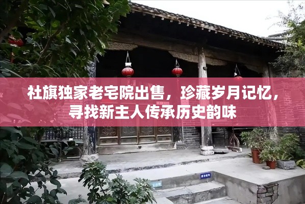 漫天飞舞 第5页