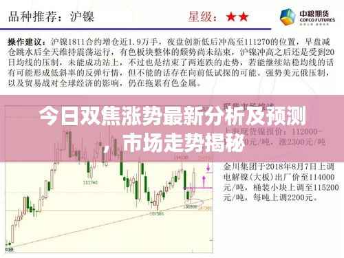 今日双焦涨势最新分析及预测，市场走势揭秘