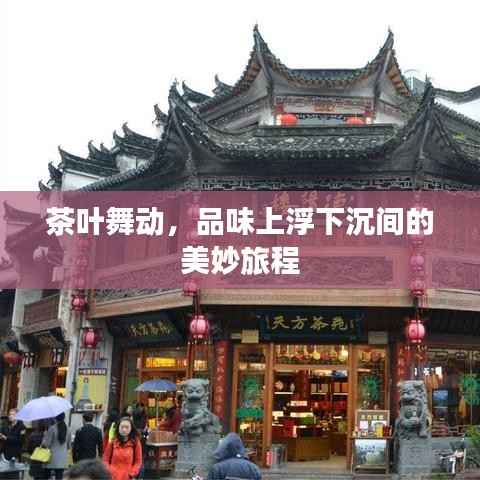 茶叶舞动,品味上浮下沉间的美妙旅程