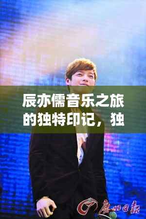 辰亦儒音乐之旅的独特印记,独家记忆回顾